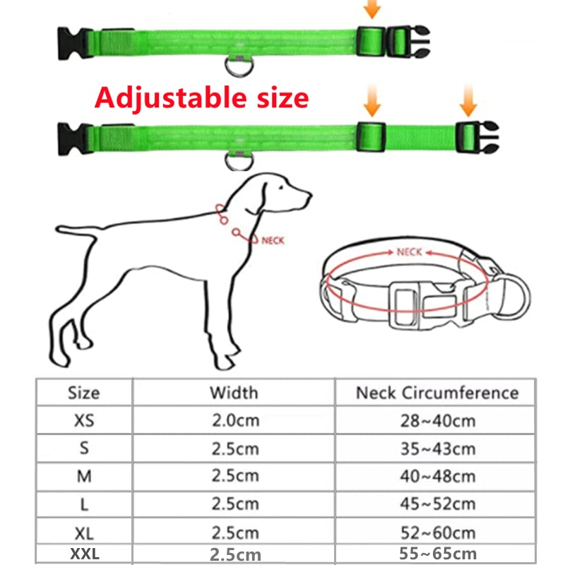 LED Glowing Adjustable Dog Collar