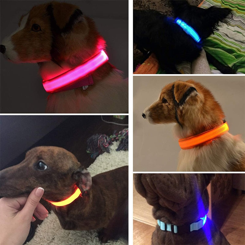 Adjustable LED Pet Collar
