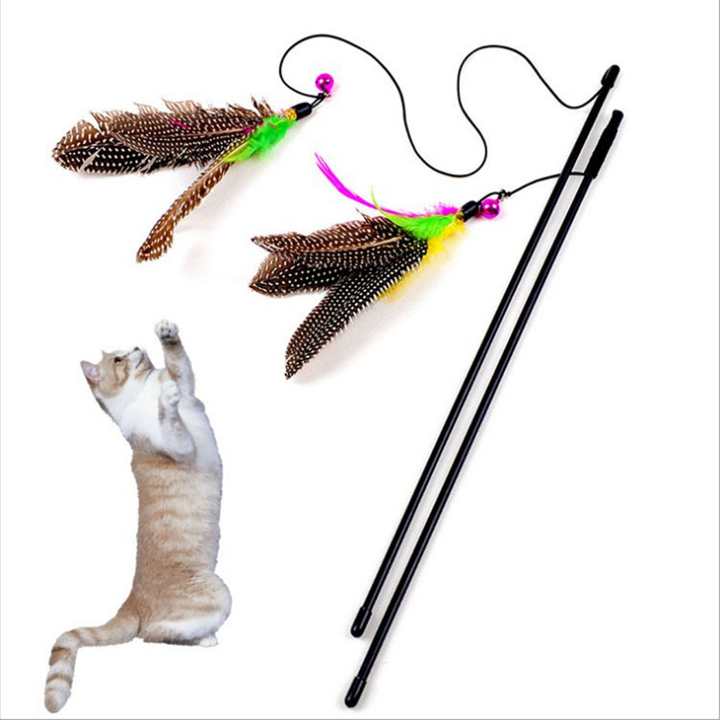 Feather Toy
